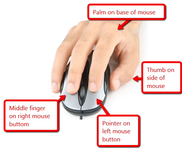 Image result for how to hold a mouse