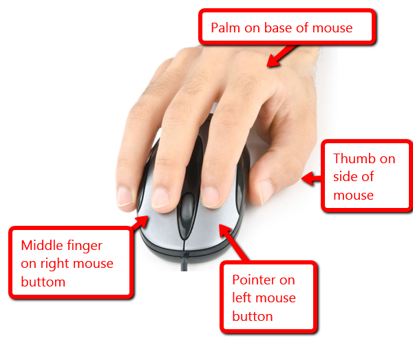 mouse and its parts