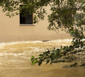 14201561 Flooding