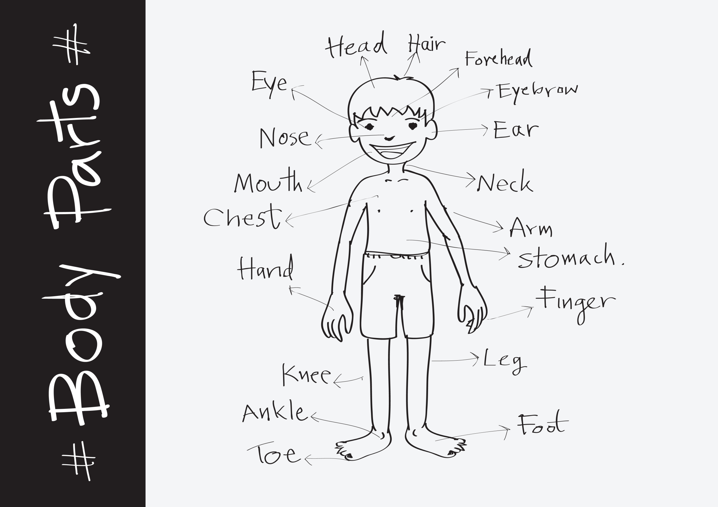 Human Body Coloring Pages For Kids | C0lor.com | Body parts preschool, Body  parts for kids, Preschool coloring pages
