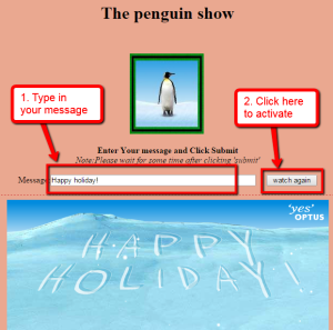 penguin show