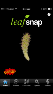 leafsnap