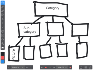 explain-everything-5th-graphic-org