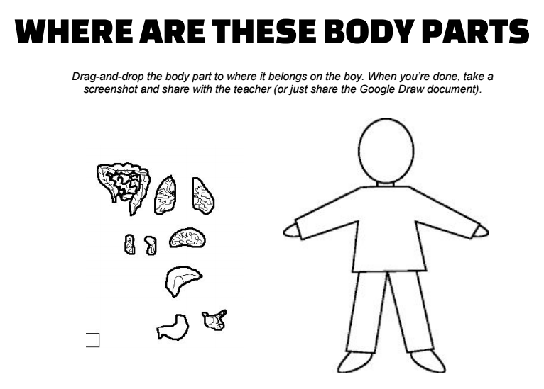 where-are-body-parts-google-draw