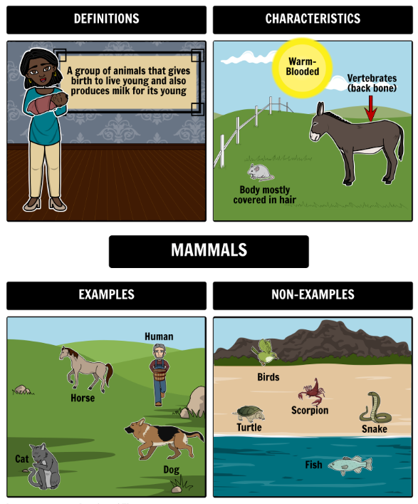 frayer model in storyboard that