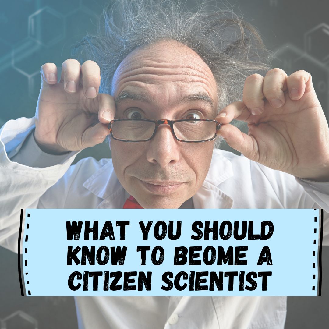 How To Become A Citizen Scientist
