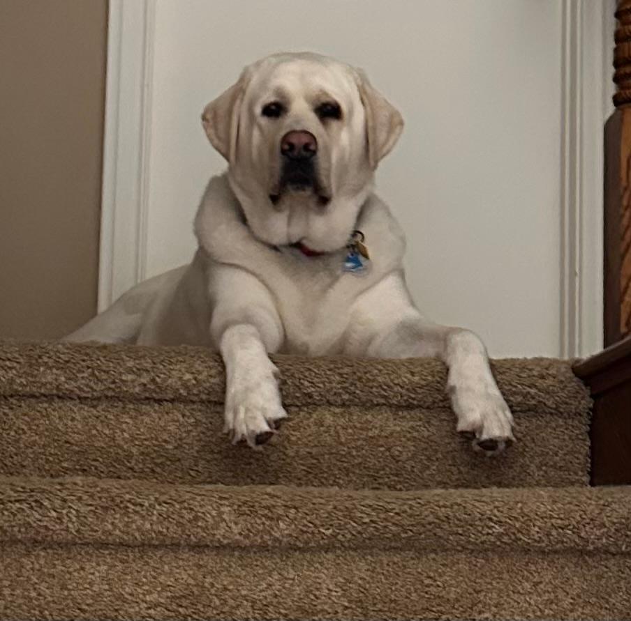 casey on steps