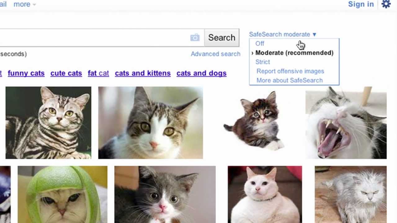 youtube placeholder image